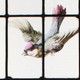 Antique stained glass window with birds