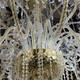 Large crystal chandelier