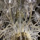 Large crystal chandelier