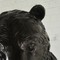 Большая антикварная скульптура «Медведь»