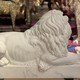 Pair marble Lions sculptures