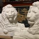 Pair marble Lions sculptures