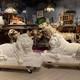 Pair marble Lions sculptures