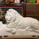 Pair marble Lions sculptures