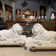 Pair marble Lions sculptures