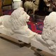 Pair marble Lions sculptures