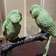 Antique sculpture "A pair of Amazon parrots"