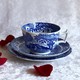 Antique Spode porcelain cup and saucer