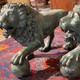 Antique pair sculptures "Lions"