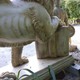 Antique sculpture of Lion of St. Mark