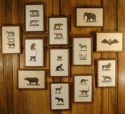 Set of antique prints "Animal world"