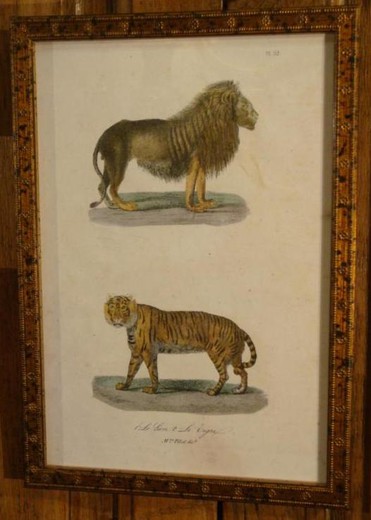 Set of antique prints "Animal world"