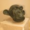 Sculpture "Monkey Head"