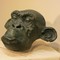 Sculpture "Monkey Head"