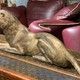 Antique Bible Lion sculpture