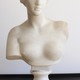 Antique bust "Venus de Milo"