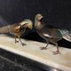 Antique sculpture "Pheasants"