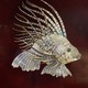 Винтажное панно «Рыба-крылатка»