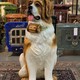 Vintage sculpture "St. Bernard"