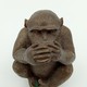 Sculpture "Monkey Ivazaru"