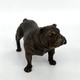 Antique sculpture "English Bulldog"