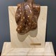Sculpture «Farciminis in Marmore»