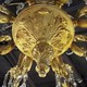 Antique chandelier Louis XV