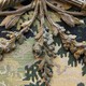 Antique Fireplace Screen