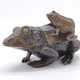 Sculpture-box "Frog "