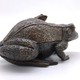 Sculpture-box "Frog "