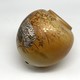 Antique vase