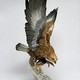 Antique sculpture "Eagle"