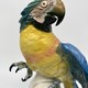 Antique Parrot sculpture