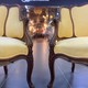 Antique armchairs, Louis XV