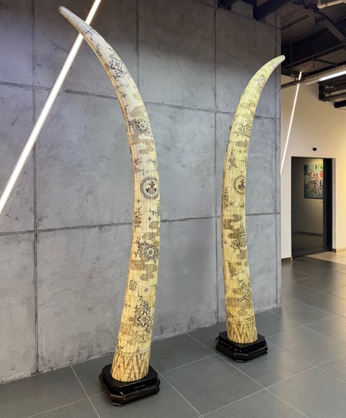 Очень редкая
парная композиция
«Бивни мамонта»