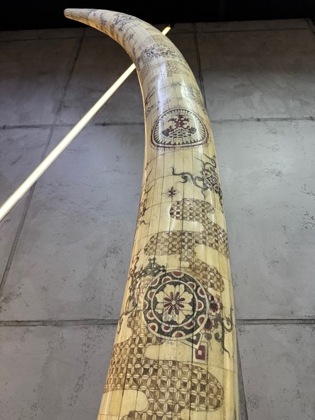 Очень редкая
парная композиция
«Бивни мамонта»