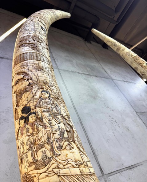 Очень редкая
парная композиция
«Бивни мамонта»