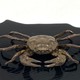 Antique crab figurine