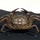 Antique crab figurine