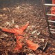Фотопанно «Улов»