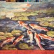 Photo panel "Koi Carps"