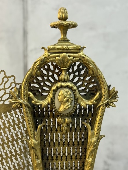 Antique Fireplace Screen
"Peacock"