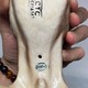 "Dog with a Bird in Its Mouth" Figurine