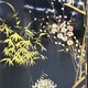 Vintage screen