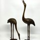 Vintage fountains
"Cranes"