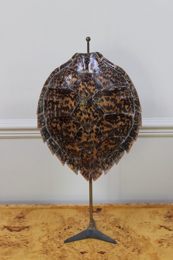 декоративный панцирь черепахи, 21 век