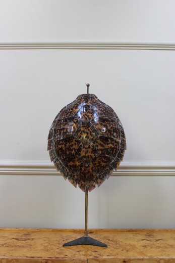 панцирь черепахи на стенде декоративный, 21 век