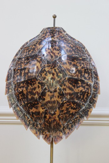 декоративный панцирь черепахи