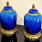 Sevres Vases Pair