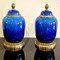 Sevres Vases Pair